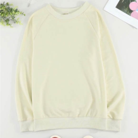 Beige Crew Neck Raglan Sleeve Sweatshirt - Picture 9 of 11
